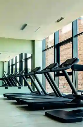 Gymnasium